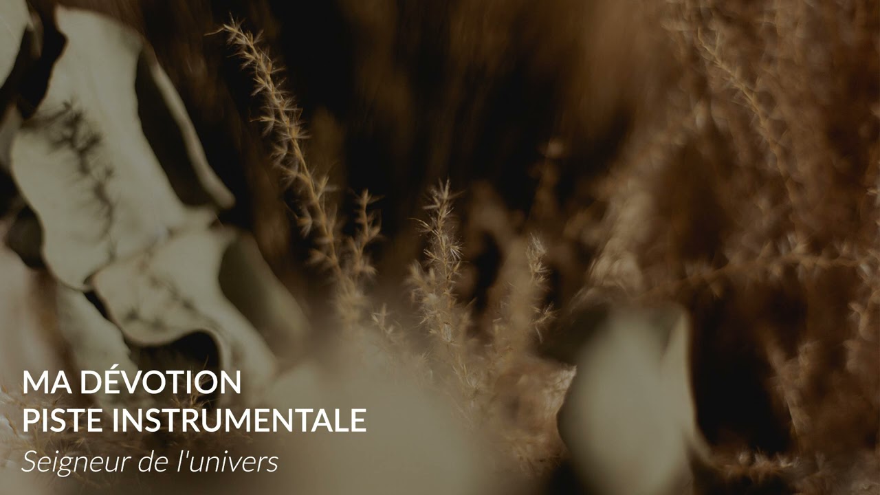 Seigneur de l'univers - Piste instrumentale, Ma Dévotion