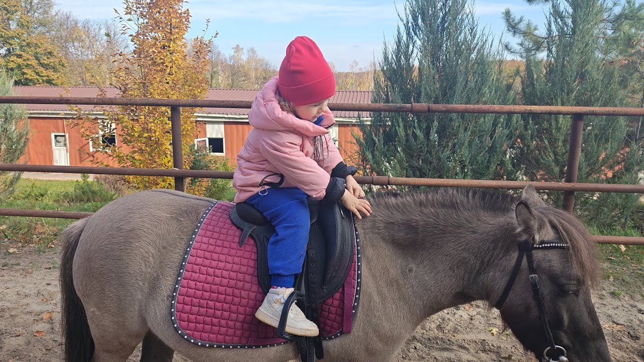 Первая езда Миланы на пони. Голодные козы экопарка