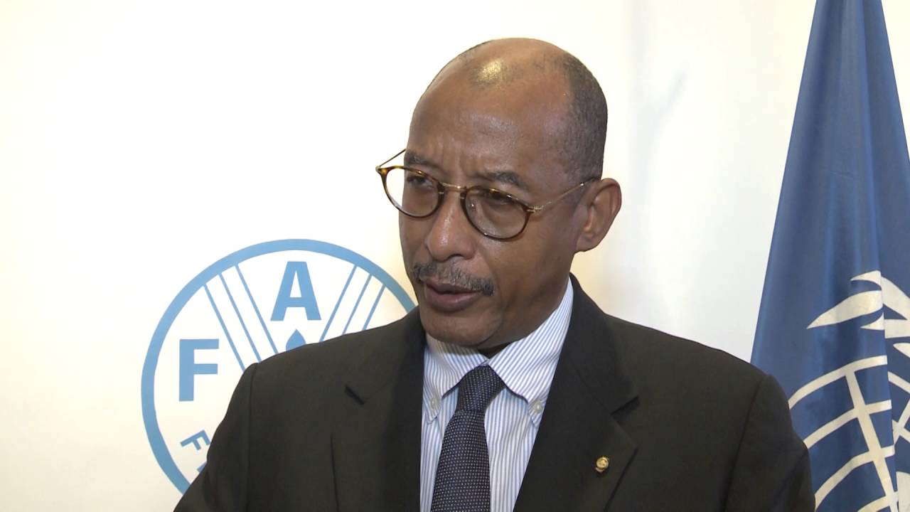 Déclaration de M. Ibrahim Assane Mayaki, Secrétaire exécutif du NEPAD