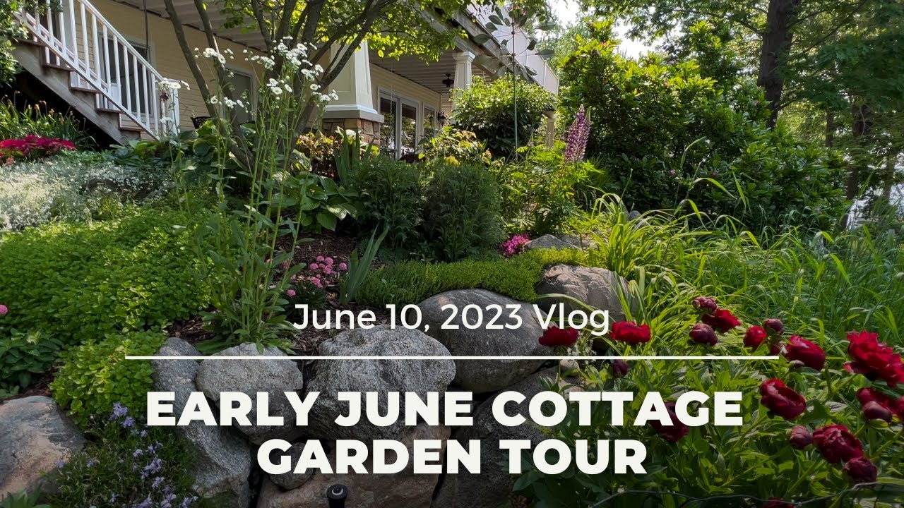 Early June Cottage Garden Tour