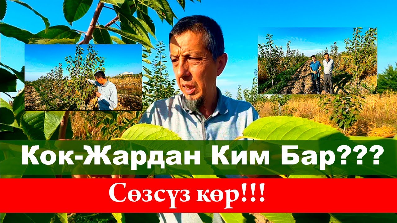 476Кочот Гилас Алдым…  Созсуз Коргулоо… Бак Сыры:+996555887633