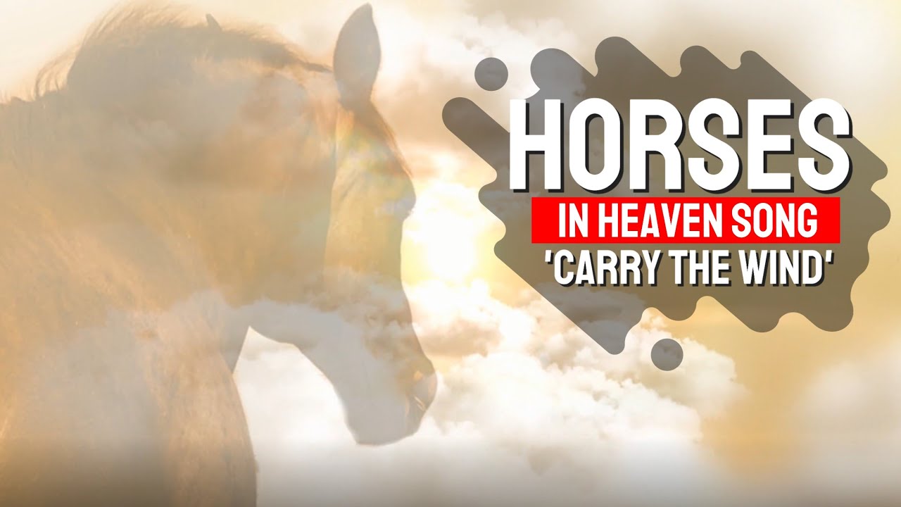 Country Song about Horses in Heaven | Official Video of 