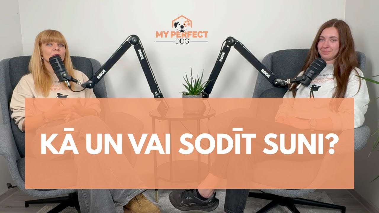 Kā un vai sodīt suni?