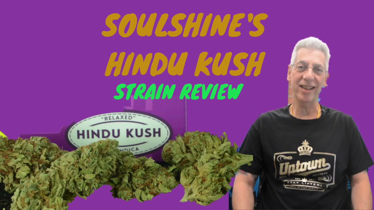 HINDU KUSH Cannabis Strain Review