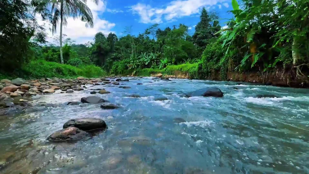 Healing River Flow Under Blue Sky – Calming Water ASMR for Sleep & Focus