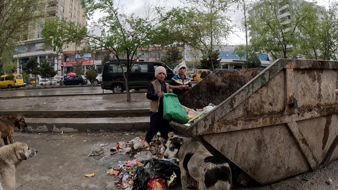 中國小伙一口氣買下上千個雞蛋,幫助街頭刨垃圾吃的阿富汗難民小朋友,遇塔利班盤查