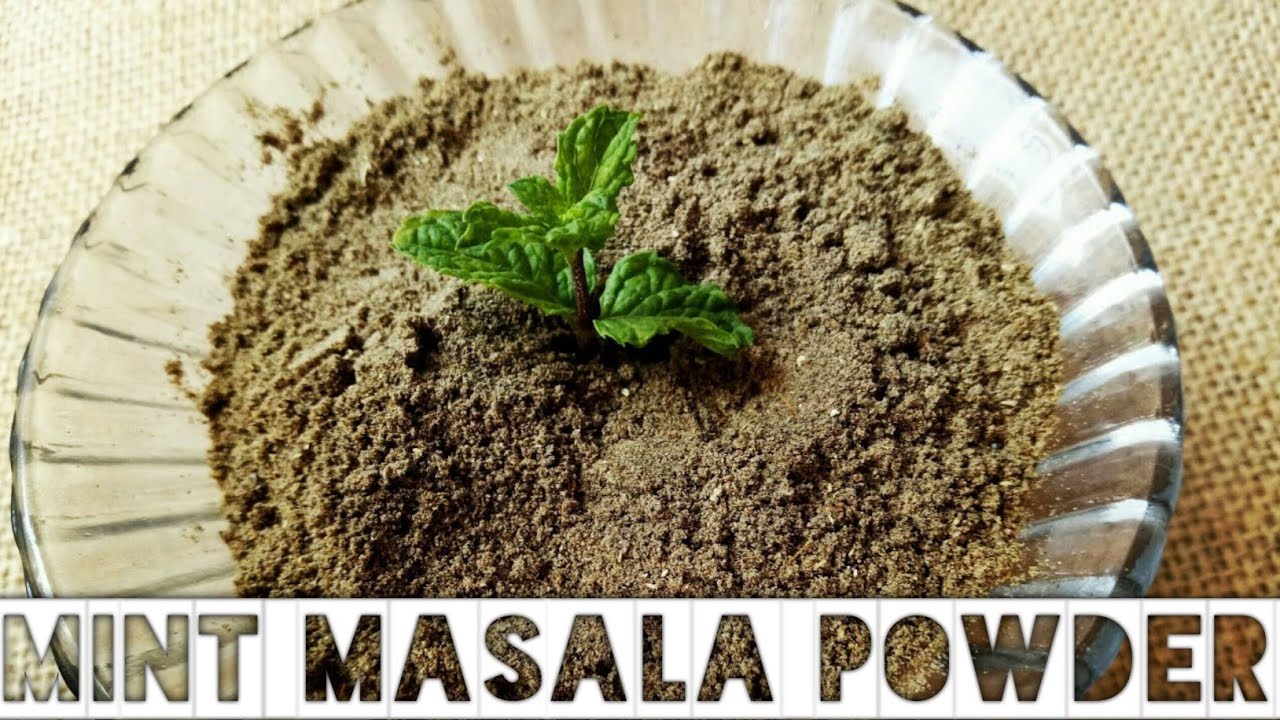 Multipurpose Mint Masala || Mint Powder || Pudina Masala || mint masala || Homemade Mint masala ||