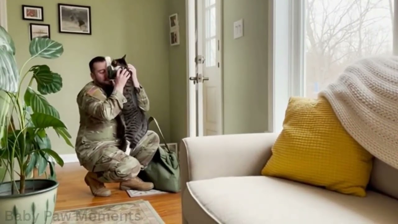 😍😍 Cat go crazy to see the soldiers dad return after months, heart melting moments ☺️