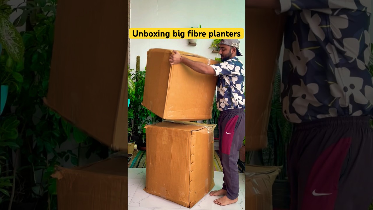 Unboxing Big fibre planters #gardeningwithnanav #plants #planters #shorts