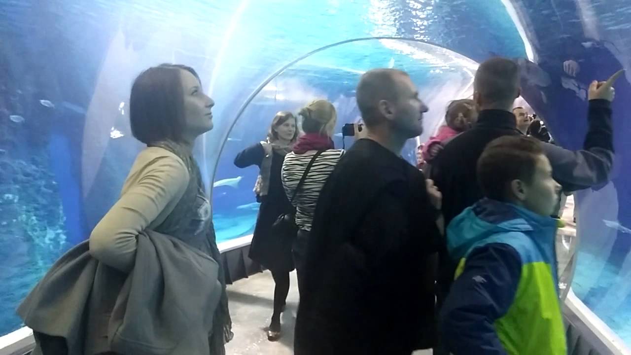 Spacer po Afrykarium we Wrocławiu