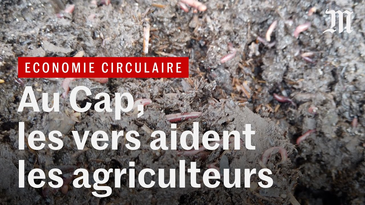 Afrique du Sud : au Cap, l’économie circulaire pour développer un township