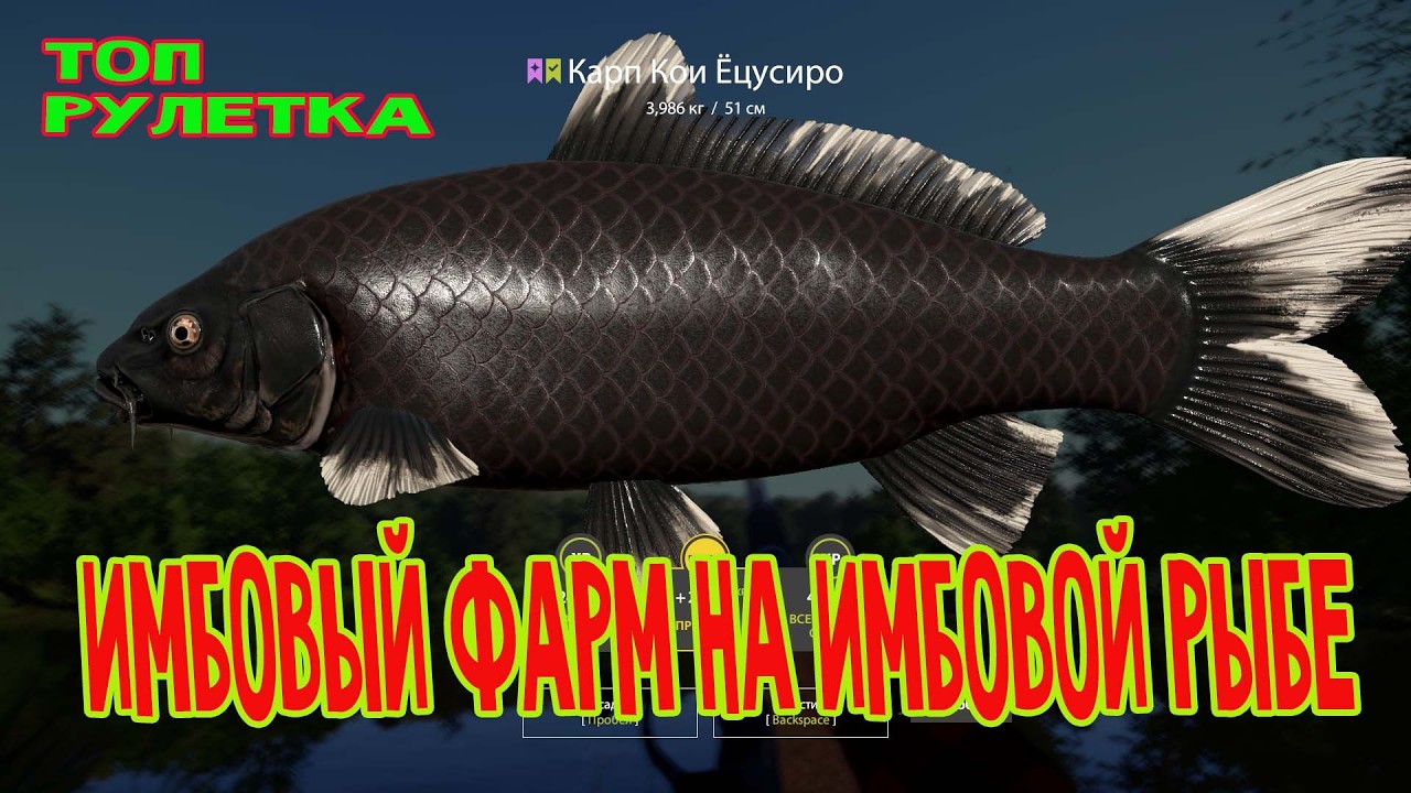 Русская рыбалка 4 🌎За трофами!!!🐠Розыгрыш Silver 80(23.6кг)🔥Снасти,премы и гн в рулетке🔥