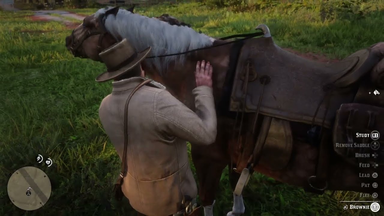 Red Dead Redemption 2