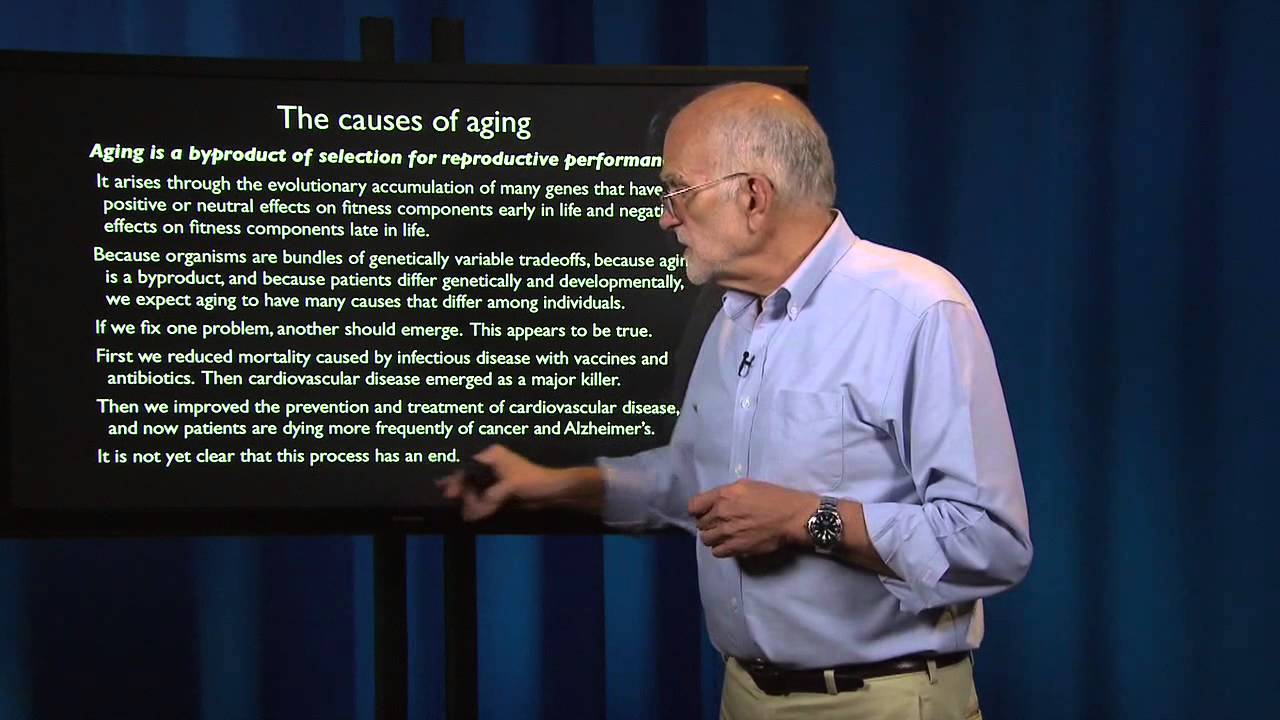 2.8 - What is a patient? Aging