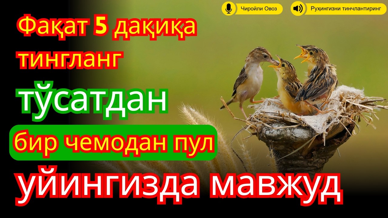 🔴Фақат 1 марта эшитинг , пул сизни ўзидан қидиради! Дунёдаги энг кучли ризқ дуоси!