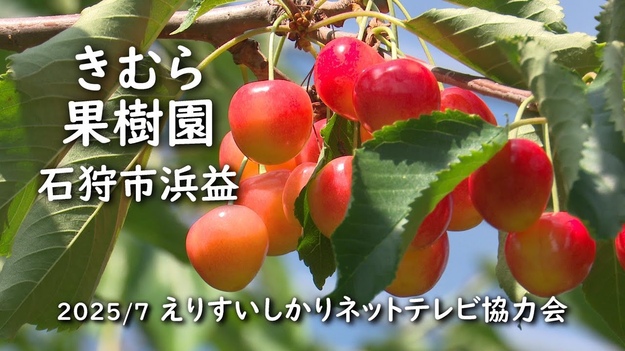 【えりすいしかり】きむら果樹園 石狩市浜益