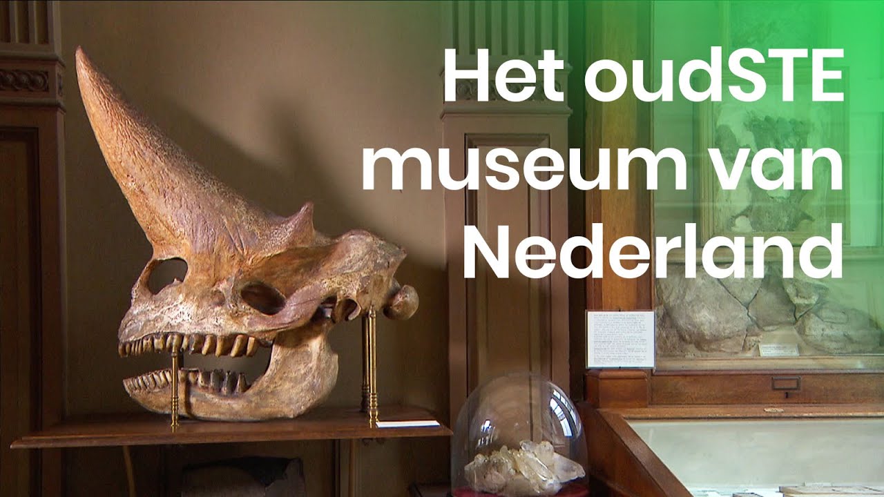 Wat is het oudSTE museum van Nederland? | STE | Het Klokhuis