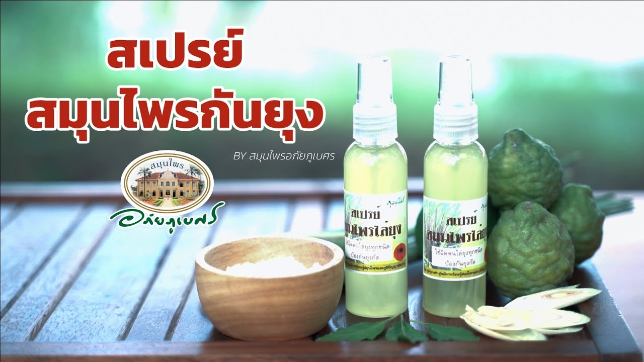 สอนทำ สเปรย์สมุนไพรไล่ยุง [สมุนไพร DIY]