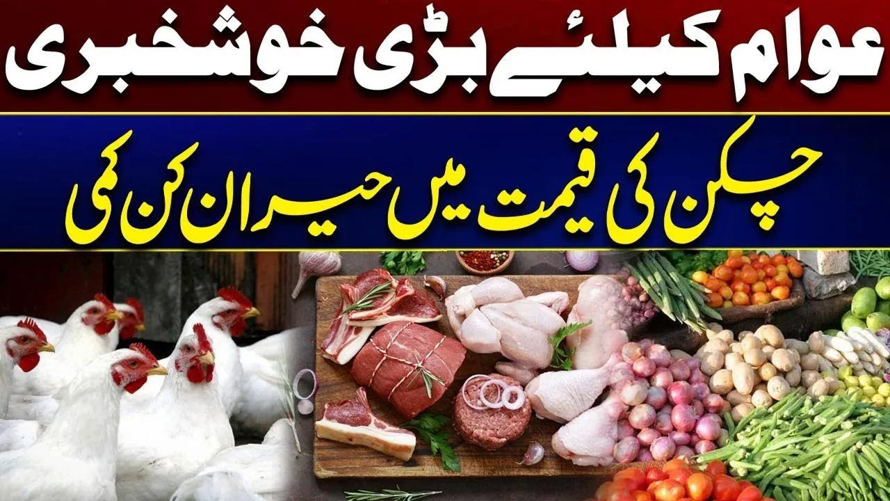 Chicken Prices Drop Today! Massive Cut in Broiler Rates | Today Rate List | City 41