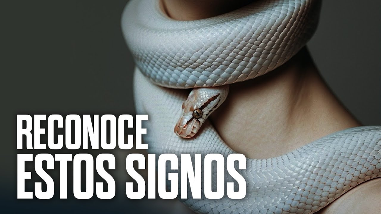 ¿Te Sientes Atacado Espiritualmente? 7 Señales del Espíritu de Pitón