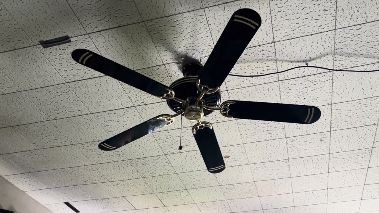 52” Bahama Ceiling fan