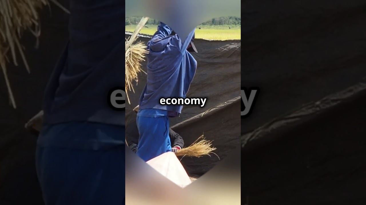 Medieval trade survive without coins?Barter and credit kept commerce alive 