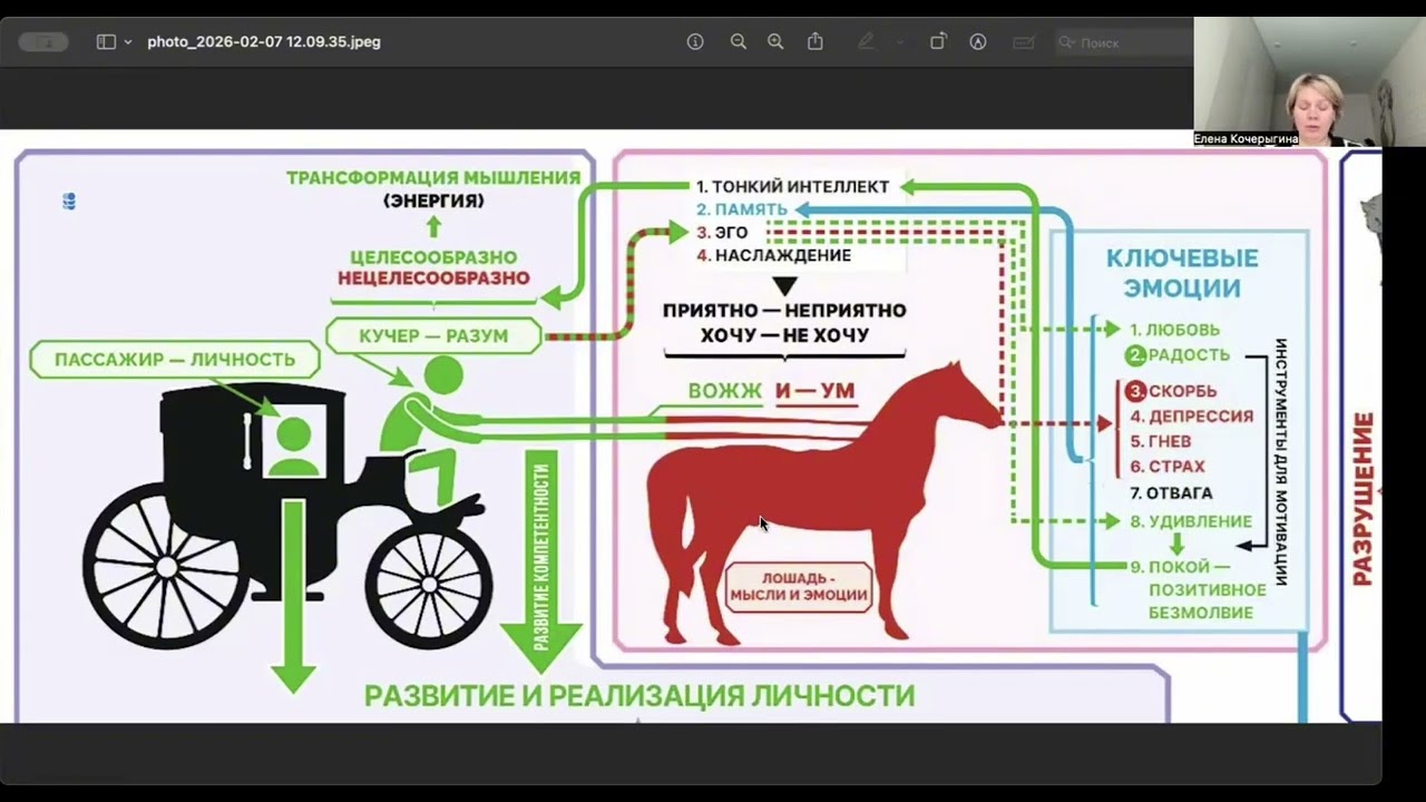Эмоции , душа и тело #сюцай #мышление 