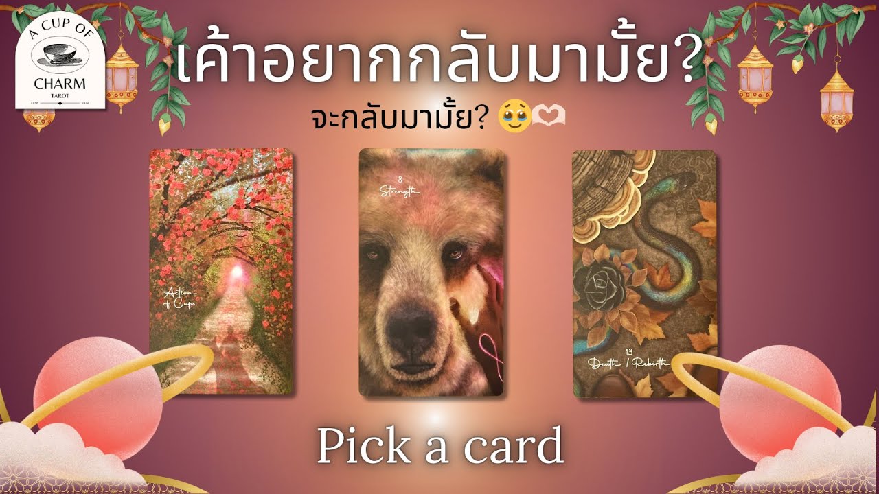 Pick a card 🥹❤️‍🩹 คนเก่าคนนั้นจะกลับมามั้ย? Timeless