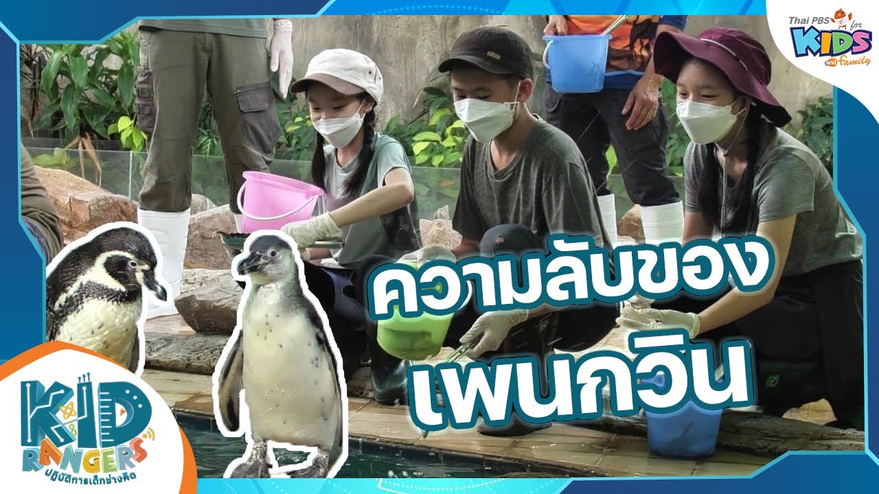 ความลับของเพนกวิน | Kid Rangers ปฏิบัติการเด็กช่างคิด
