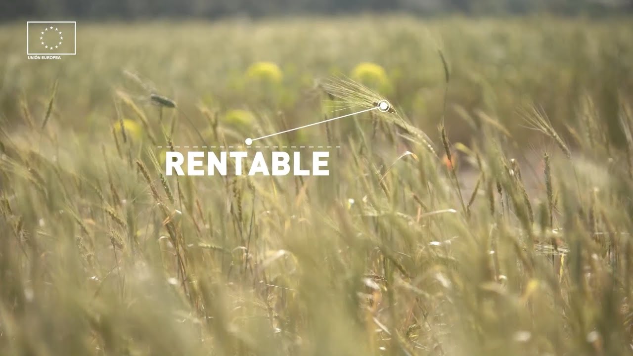 🌾 GO BioC: Innovación ecológica desde la tradición. Sostenibilidad, resiliencia y rentabilidad.