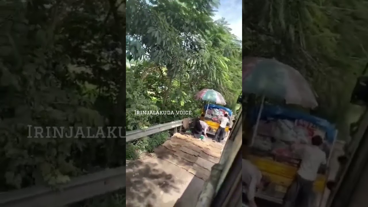 Is it such a big mistake to stop a KSRTC bus and buy carrots from the driver and conductor?