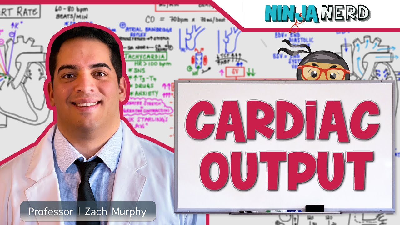 Cardiovascular | Cardiac Output