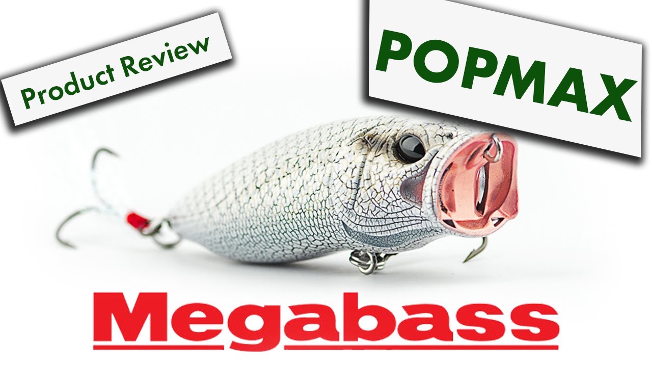 Megabass Popmax Product Highlight