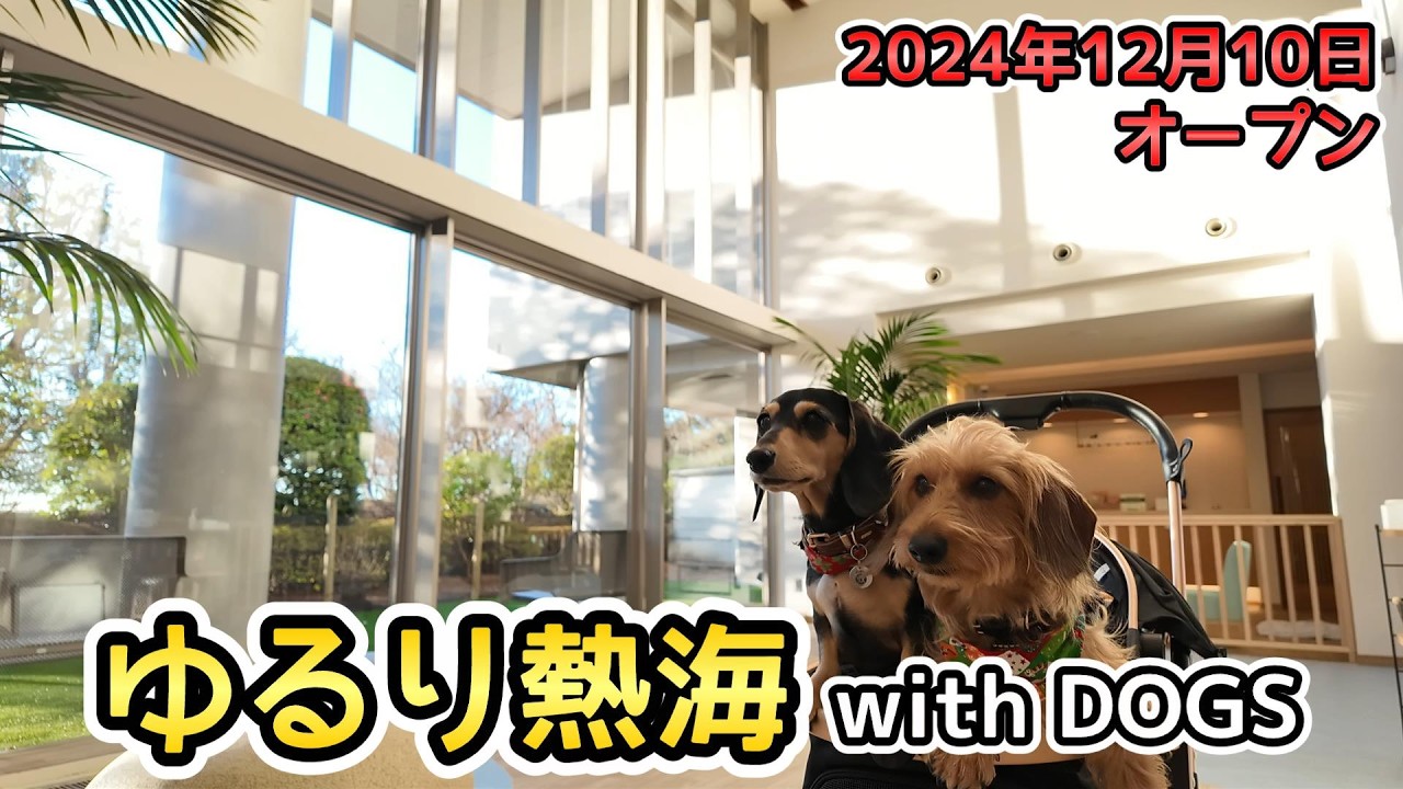 サロン級のトリミングルームがある‼「ゆるり熱海 with DOGS」に宿泊した【ミニチュアダックスフンド】屋上ドッグランは最高の眺望‼