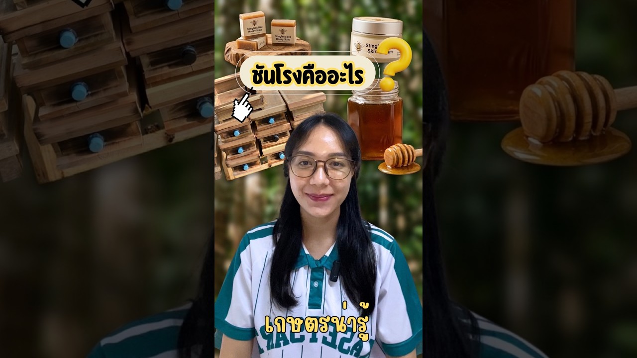 เกษตรน่ารู้ | ชันโรงคืออะไร? 