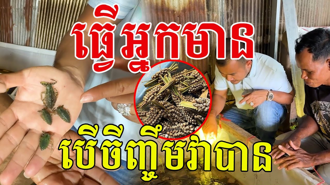 ដល់ម្លឹង​! ធ្វើអ្នកមាន​ បើចិញ្ចឹមសត្វនេះបានមែន