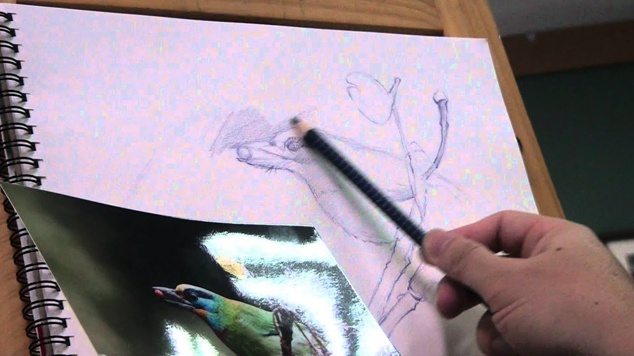 20120822190811 (1).m2ts水彩色鉛筆~五色鳥之1
