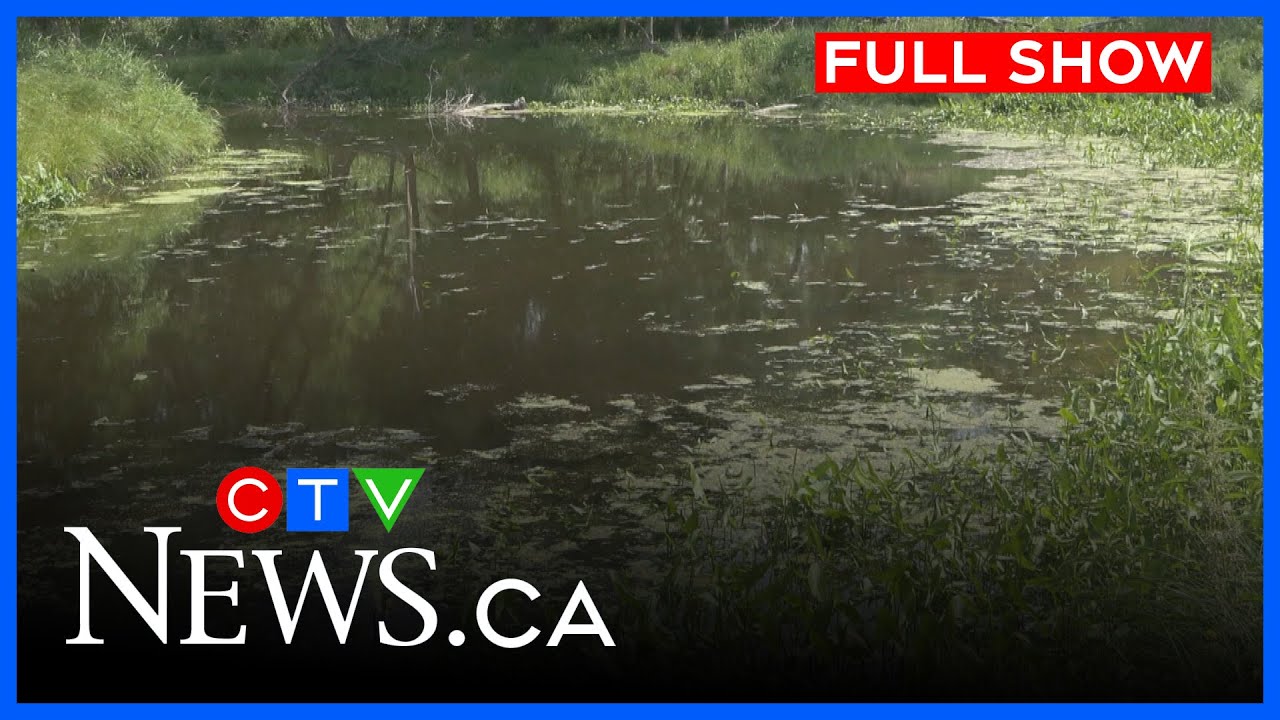 High levels of E. coli in Seine River | CTV News Winnipeg at Five for July 17, 2025