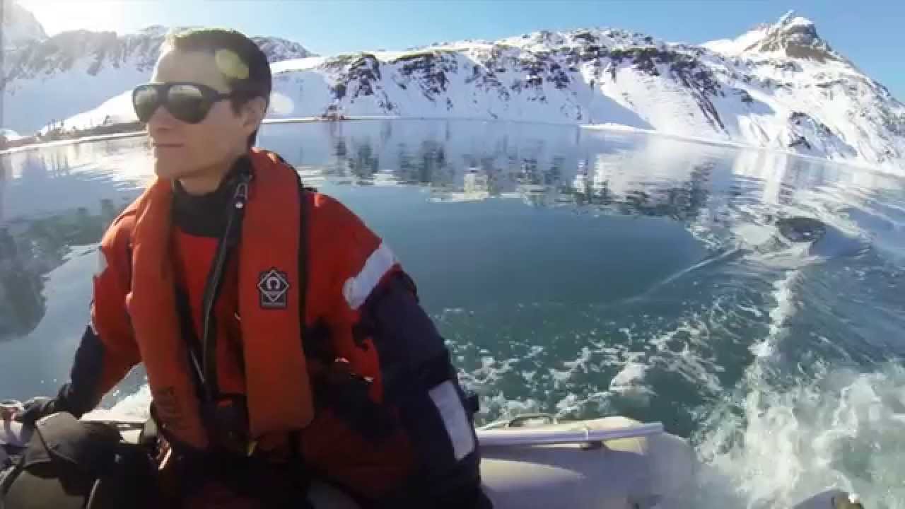 Winter in South Georgia, Antarctica
