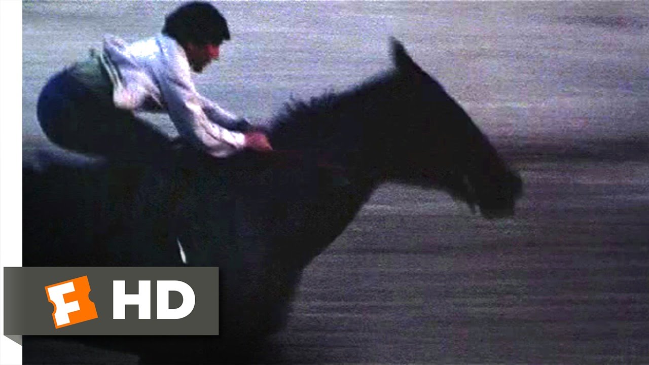 The Black Stallion (10/11) Movie CLIP - First Time at the Track (1979) HD