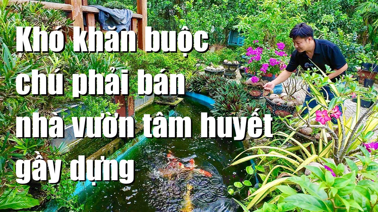 Gia đình chú cần vốn gấp giải quyết việc cần bán nhanh nhà vườn tâm huyết