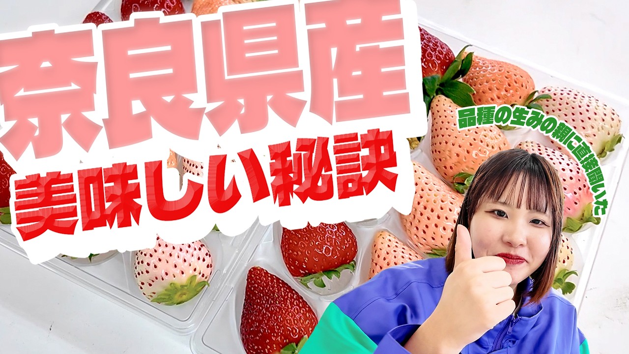 フルーツ屋社員の出張Vlog 奈良県いちご編🍓
