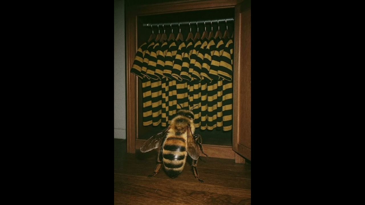 [FREE] JID TYPE BEAT 