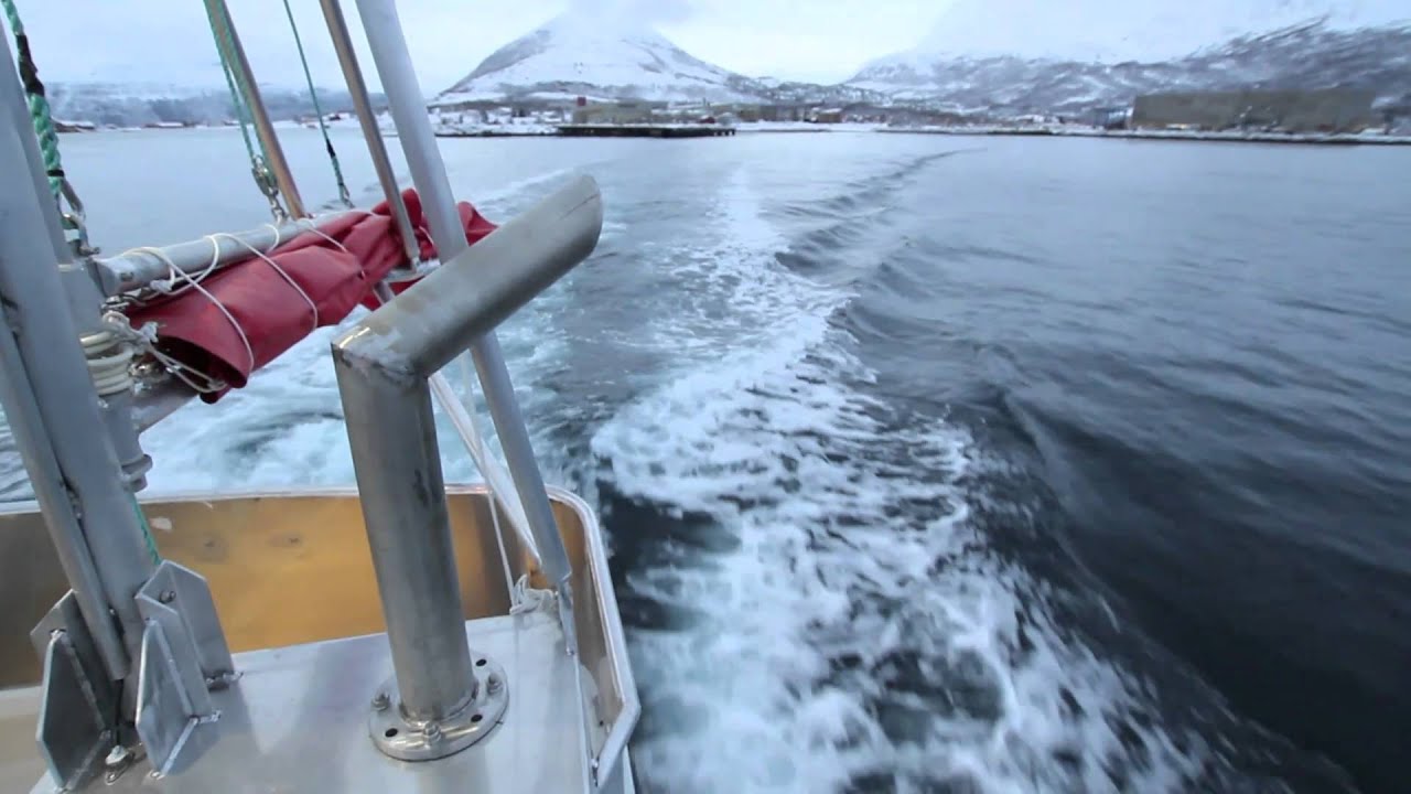 Selfa Arctic Kystsjark 35