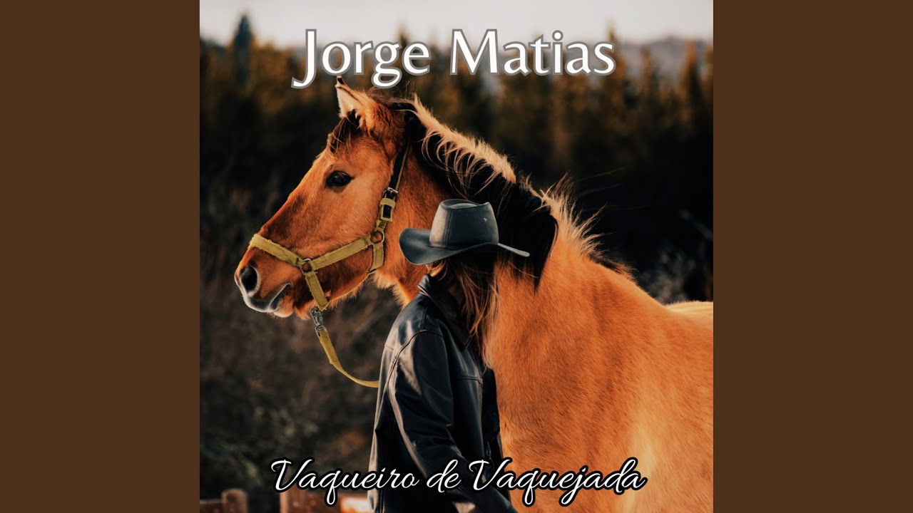 Vaqueiro de Vaquejada
