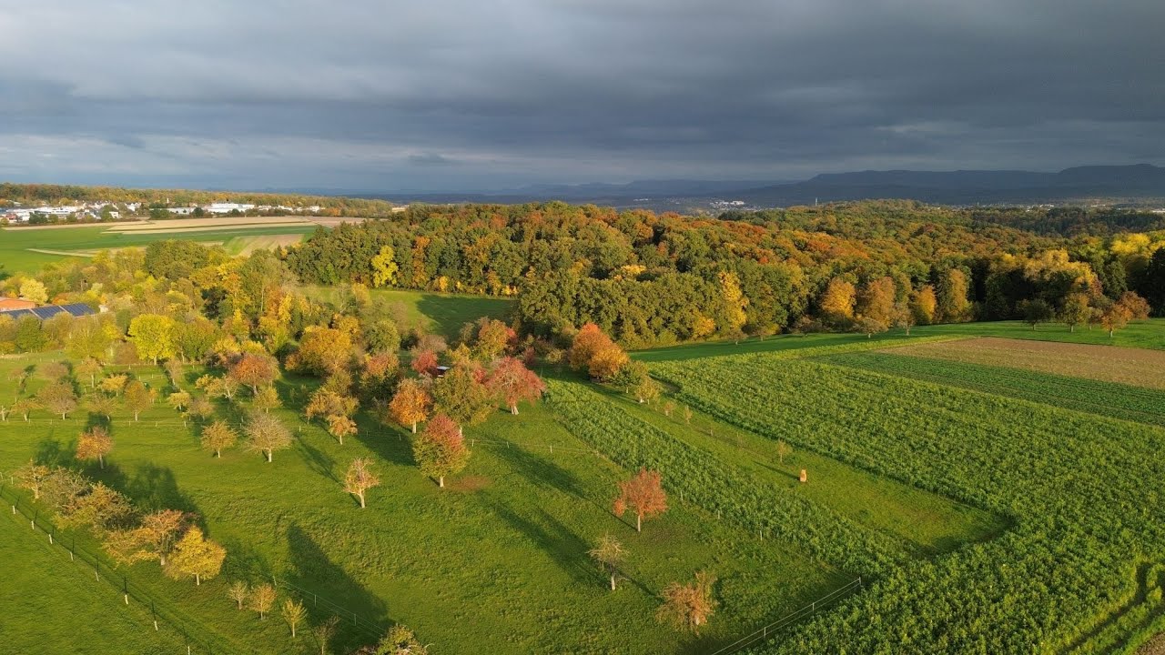 Herbst auf der Filderebene - kleiner Entspannungsrundflug &uuml;ber die herbstlichen Fildern