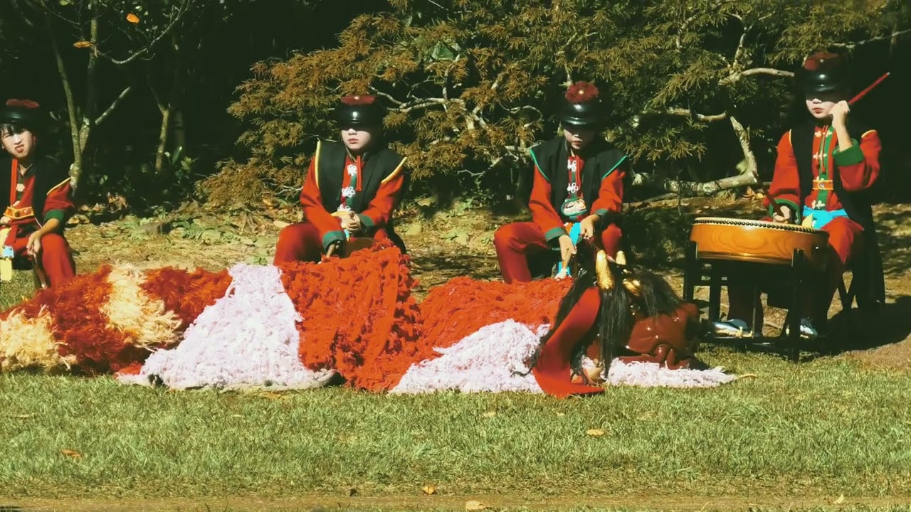 【八代妙見祭】松浜軒での獅子舞披露 11月17日
