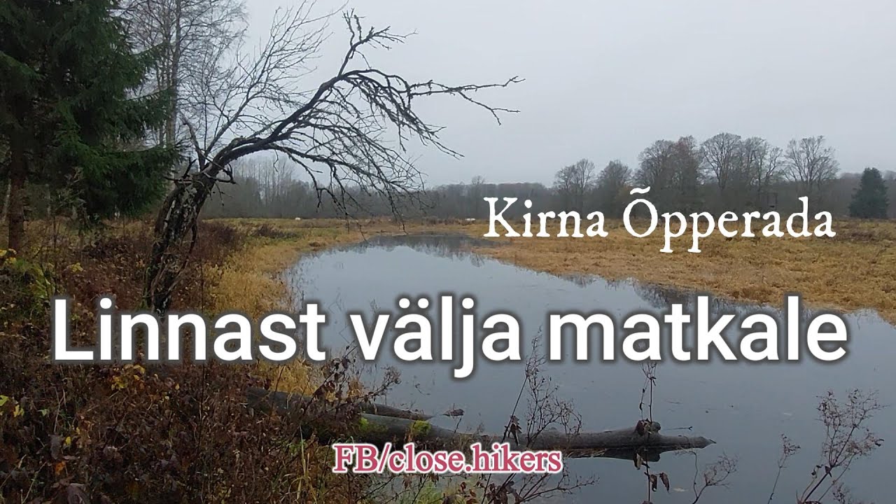 Kirna &Otilde;pperada Matk Seltskonna, Koerte ja Novembrihalliga.