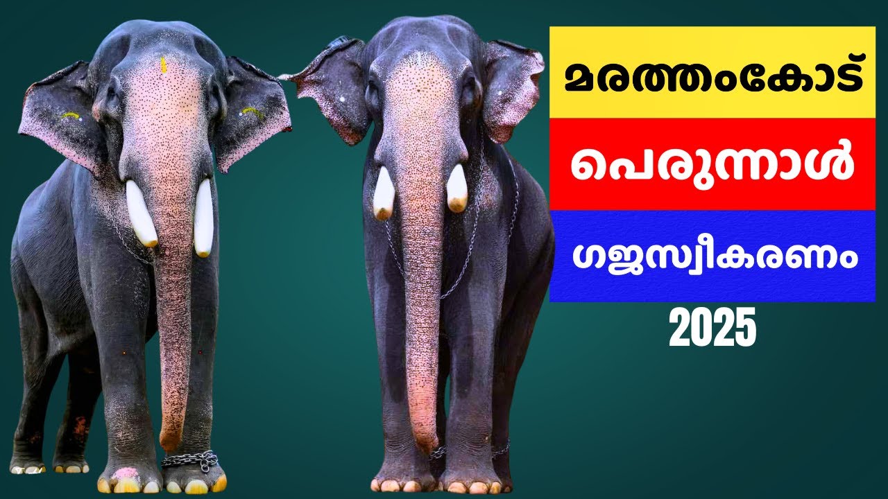 Marathamcode perunnal 2025| 01-11-2025