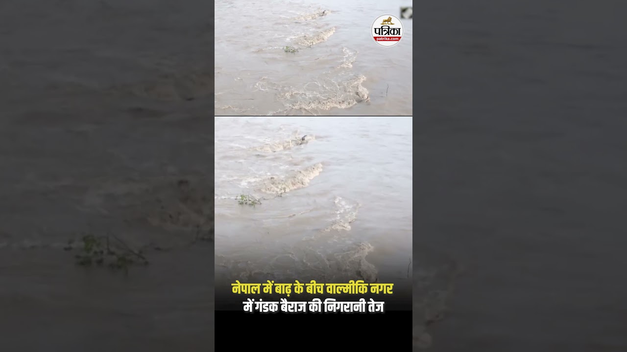 बिहार बाढ़ अपडेट: नेपाल में बाढ़ के बीच वाल्मीकि नगर में गंडक बैराज की निगरानी तेज